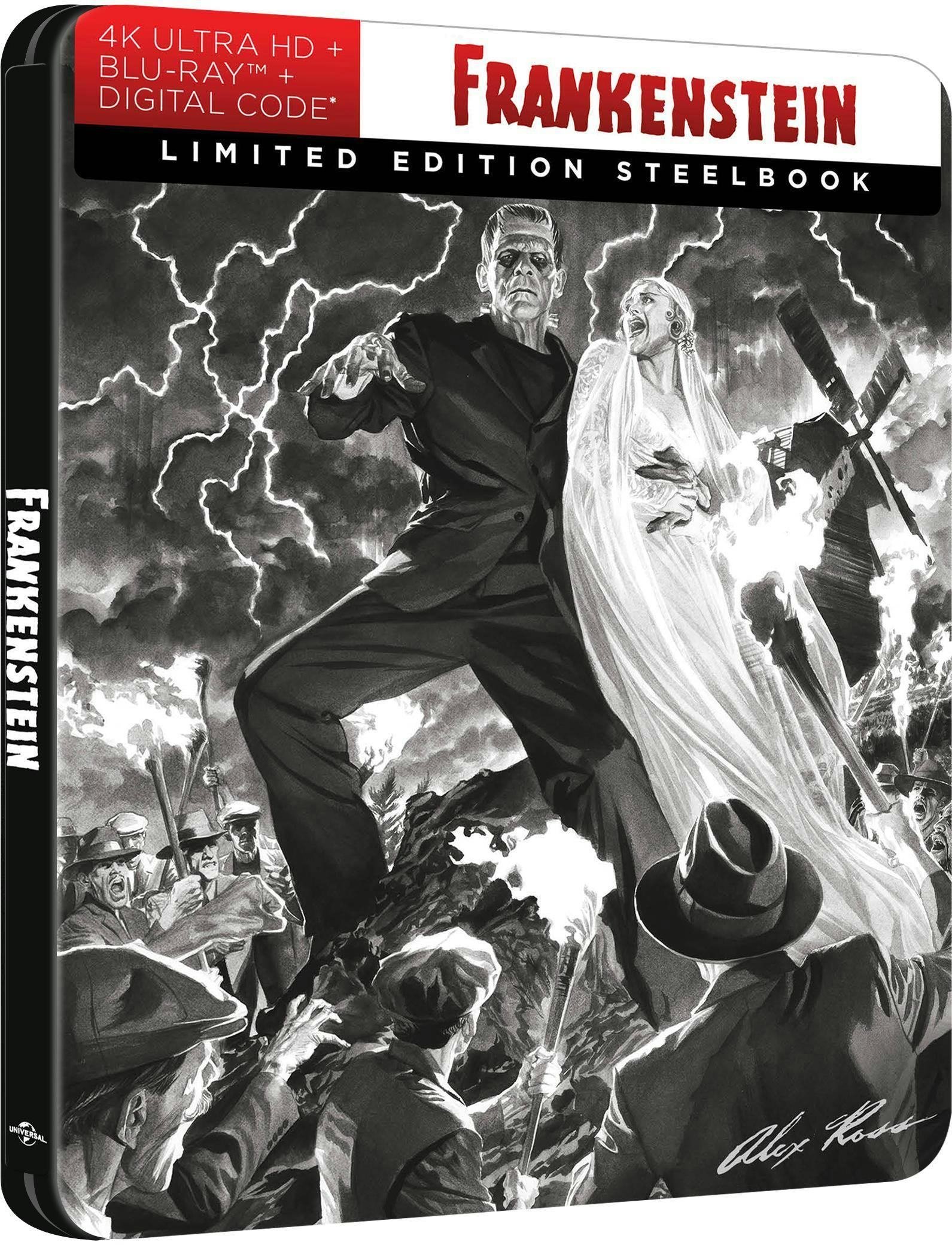 Frankenstein (Limited Edition 4K Ultra HD Steelbook + Blu-ray + Digital) [UHD] - Image 2