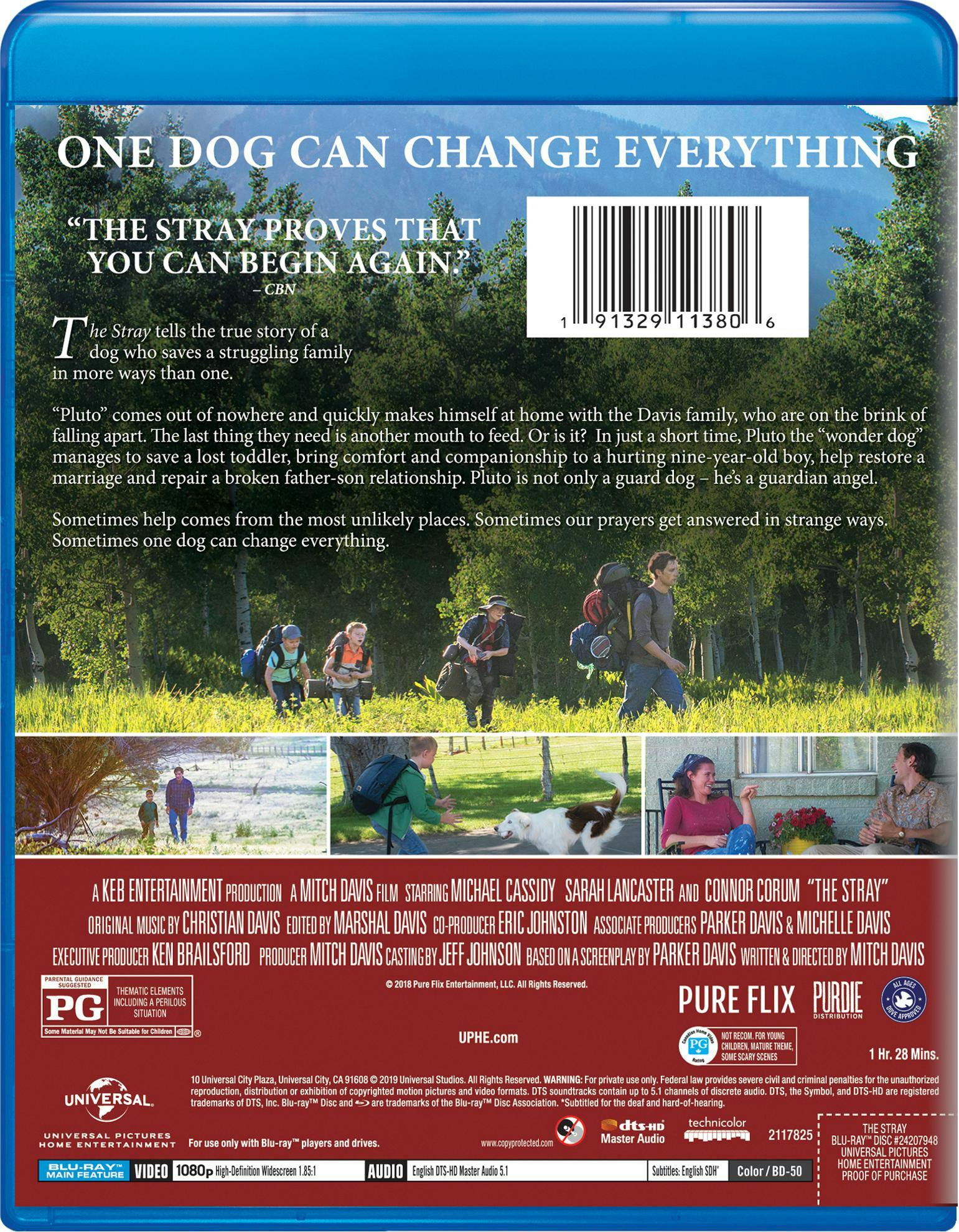 The Stray [Blu-ray] - Image 3